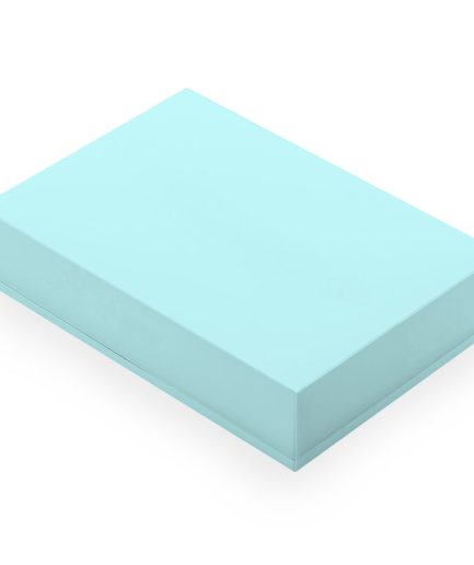 Caja AQUA Extra Large 29x40x10 (x50 uni)