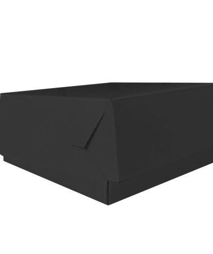 Caja BLACK Torta 30x30x13 (x50 uni)