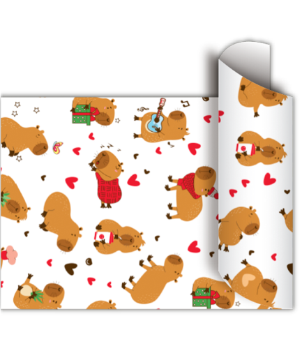 Bobina 60cm x100 Mts - MOOD CAPY
