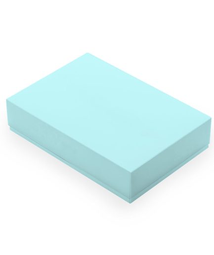 Caja AQUA Large 21x31x9 (x50 uni)