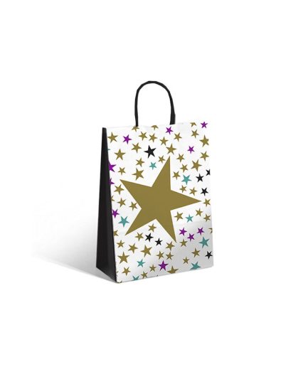 Bolsa Gold Star 14x8x20